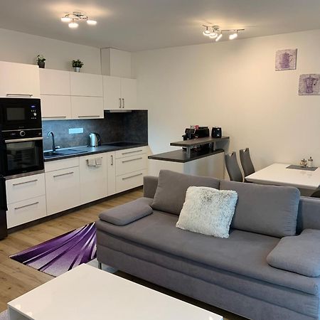 Apartman S Vyhlidkou Horní Maršov 外观 照片