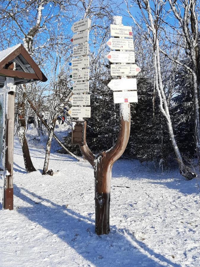 Apartman S Vyhlidkou Horní Maršov 外观 照片