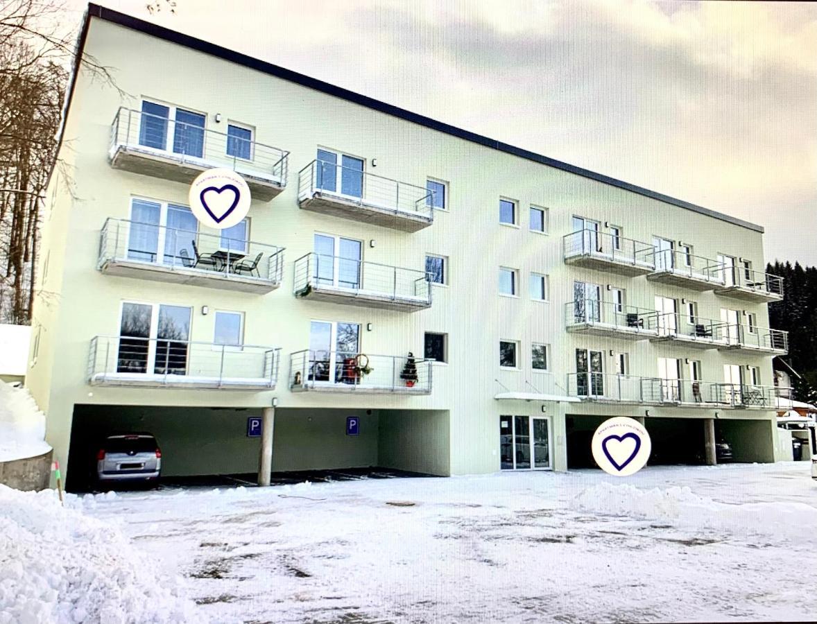 Apartman S Vyhlidkou Horní Maršov 外观 照片